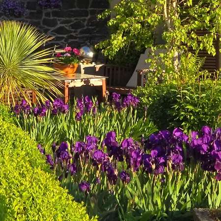 Valerius * Kottenheim